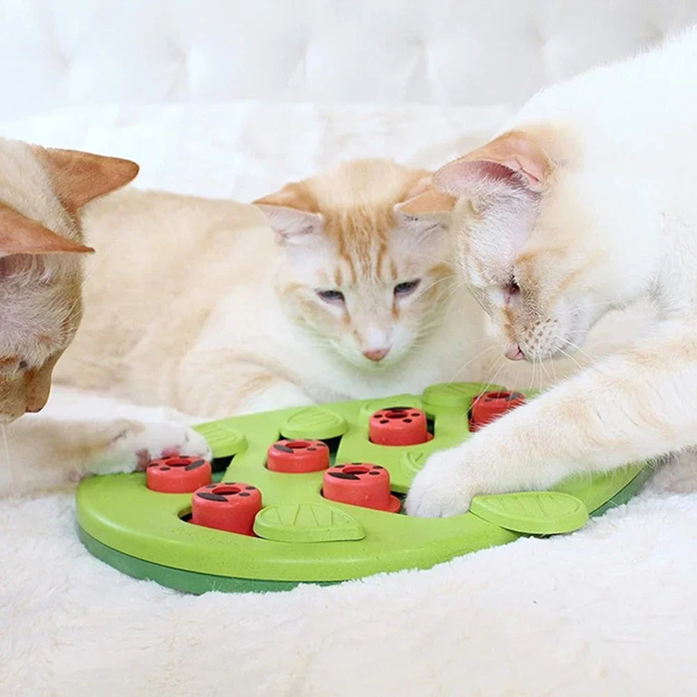 Interactive Cat Treat Puzzle