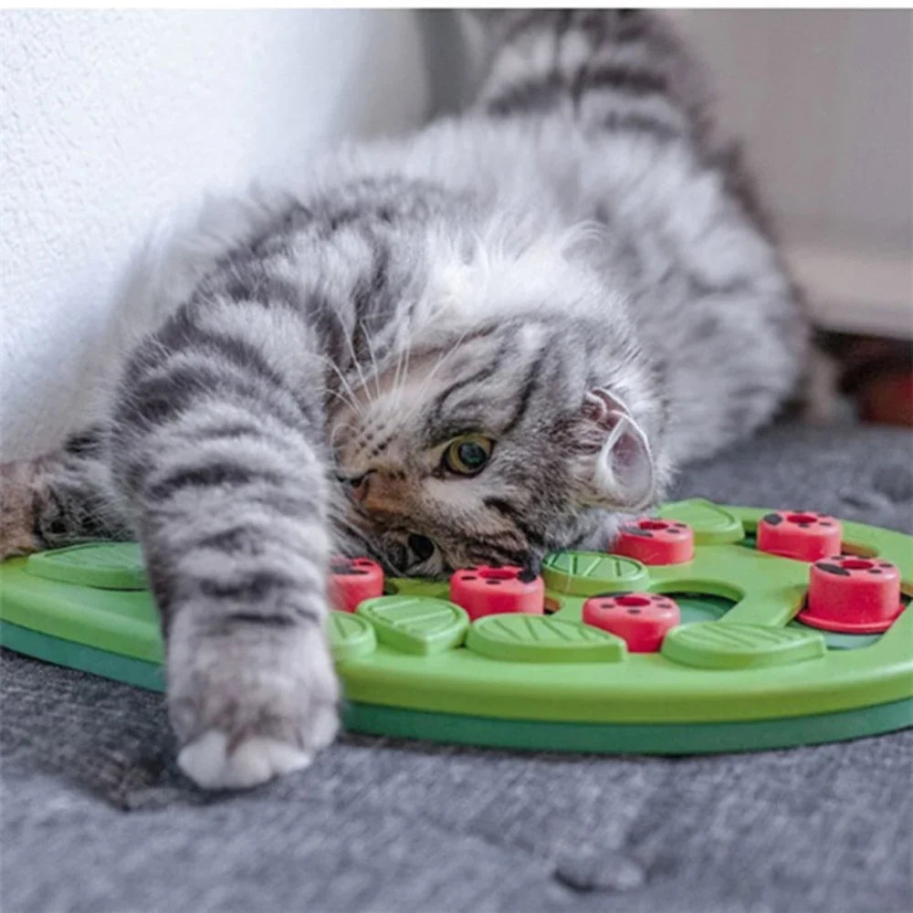 Interactive Cat Treat Puzzle