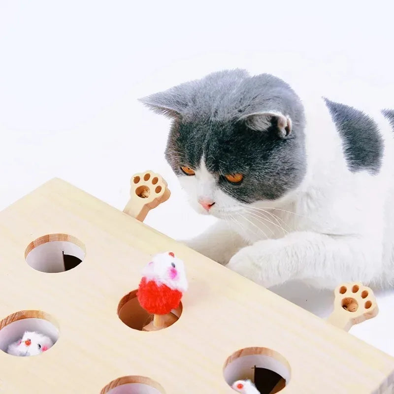 Cat Hunt Puzzle Toy