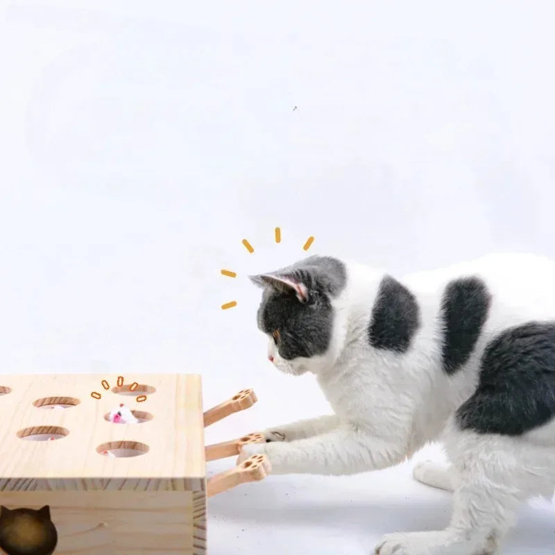 Cat Hunt Puzzle Toy
