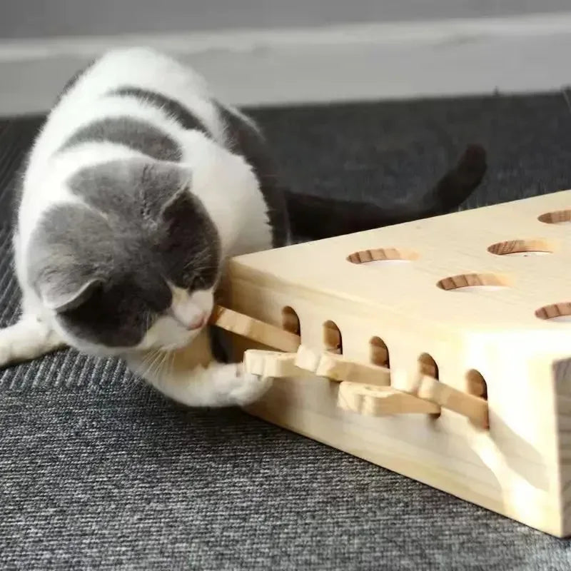 Cat Hunt Puzzle Toy