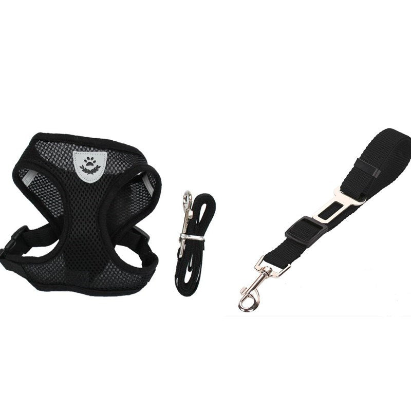Pet Car Seat Belt & Leash