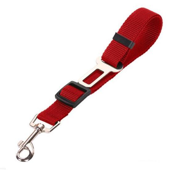 Pet Car Seat Belt & Leash