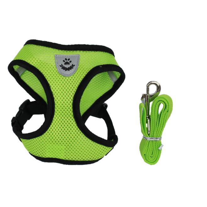Pet Car Seat Belt & Leash