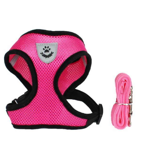 Pet Car Seat Belt & Leash