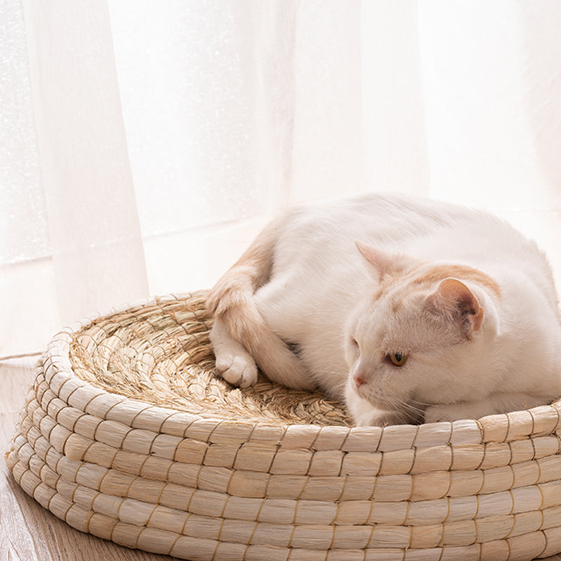 Cat Bed & Scratching Platform