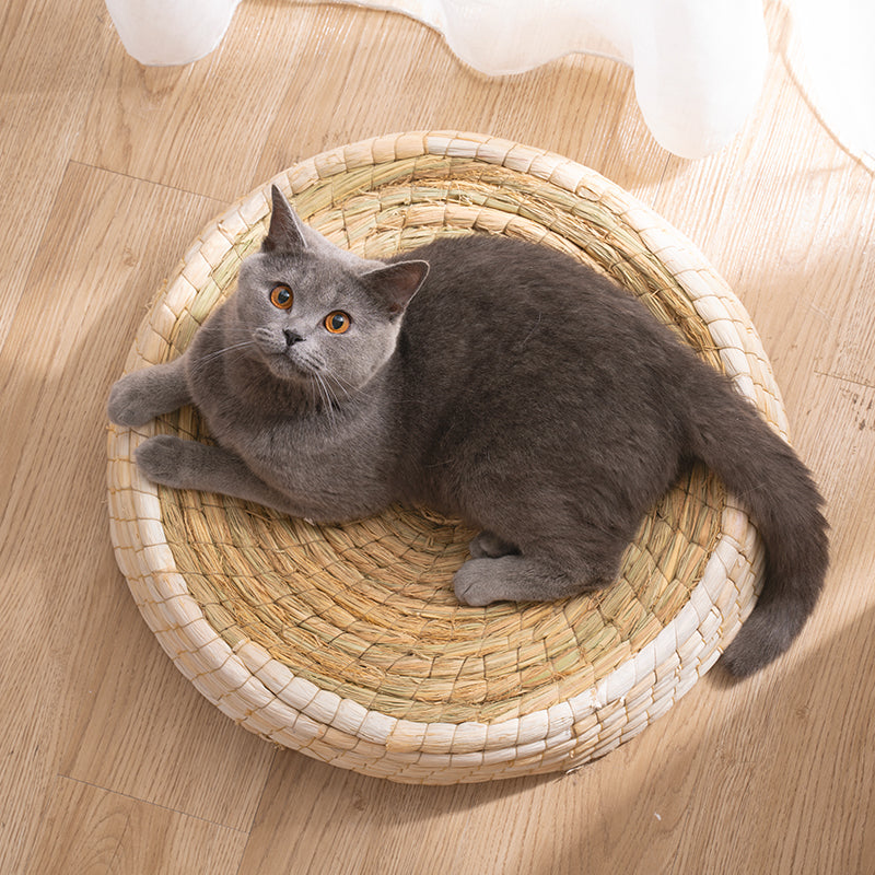 Cat Bed & Scratching Platform
