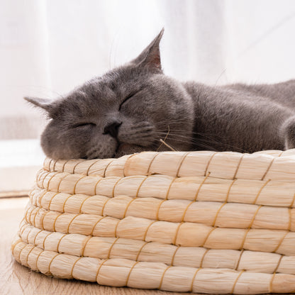 Cat Bed & Scratching Platform