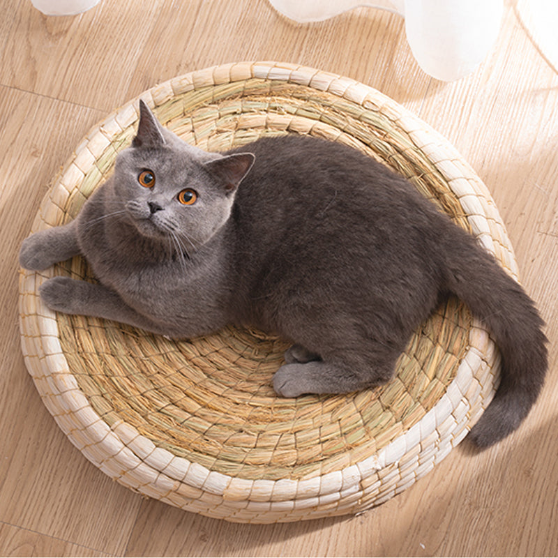 Cat Bed & Scratching Platform