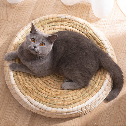 Cat Bed & Scratching Platform