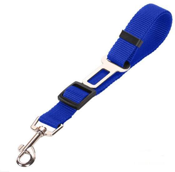 Pet Car Seat Belt & Leash