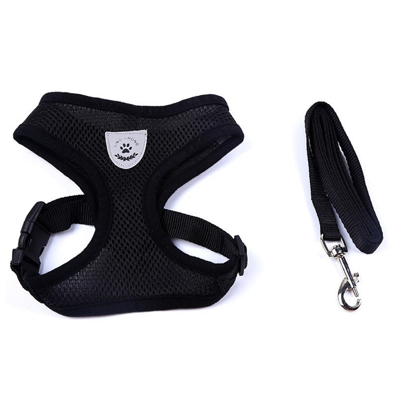 Pet Car Seat Belt & Leash