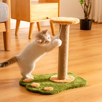 Cat Scratching Post