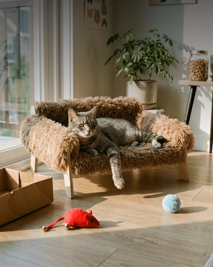 Plush Cat Sofa Bed