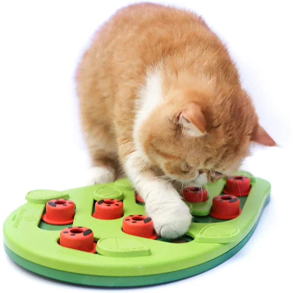 Interactive Cat Treat Puzzle