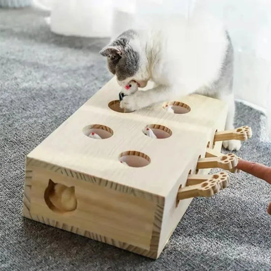Cat Hunt Puzzle Toy