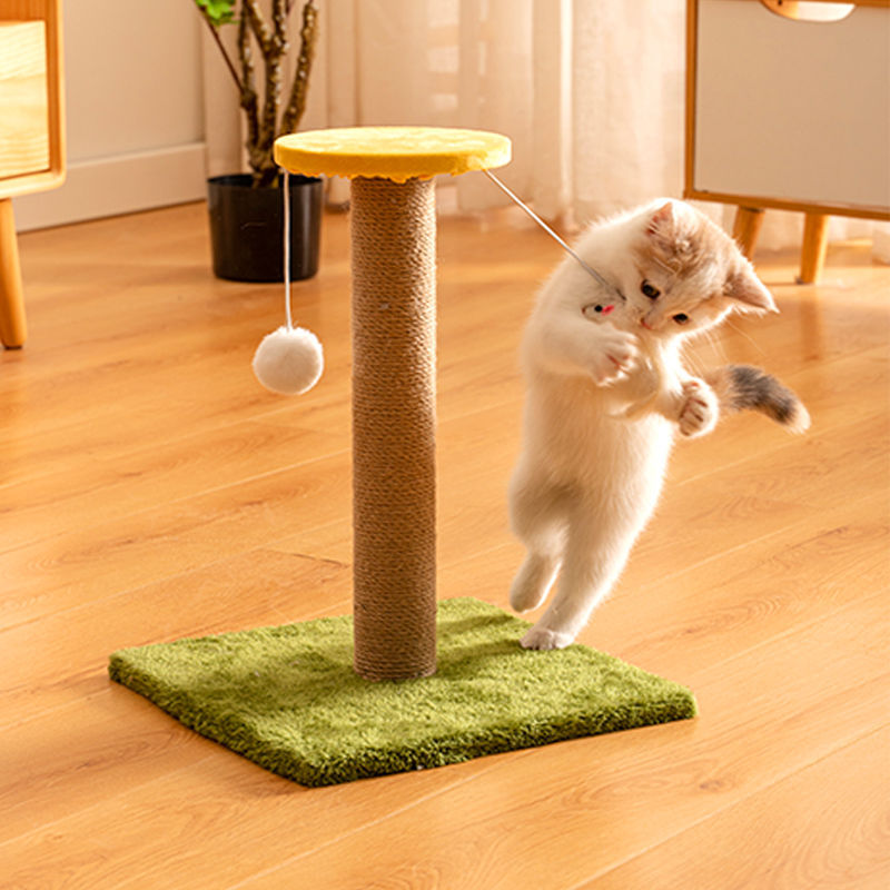 Cat Scratching Post